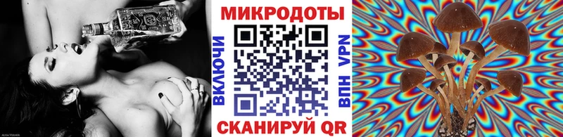Галлюциногенные грибы Cubensis  даркнет сайт  Купино 